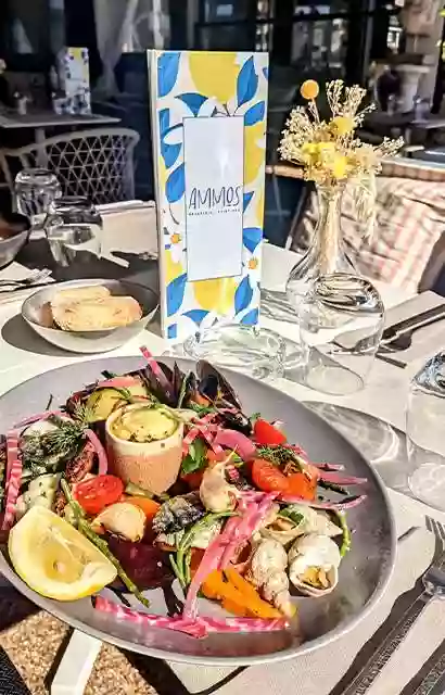Ammos restaurant - restaurant saint cyr sur mer - meilleur restaurant saint cyr sur mer - restaurant saint cyr bord de mer